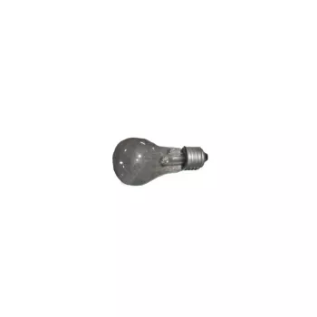 Лампа судовая 12v 40w фото 1